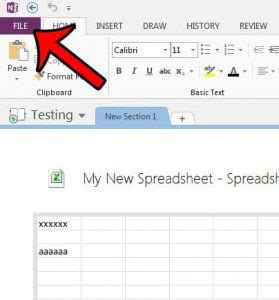 Image result for Lock Pages OneNote