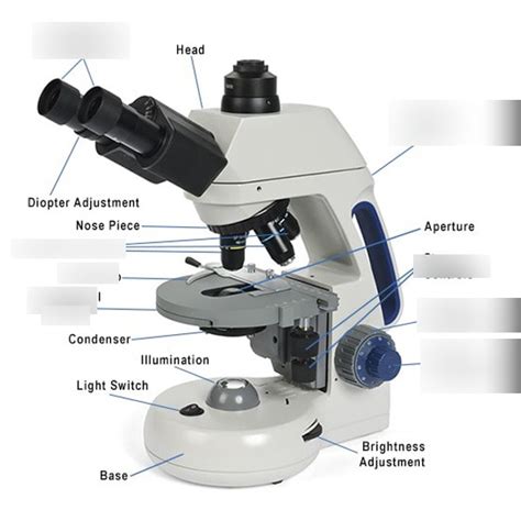 Image result for Video Microscope Play