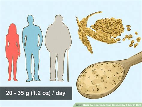 Bildergebnis für fiber that won't cause gas