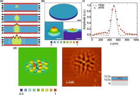 Image result for Undulation Training