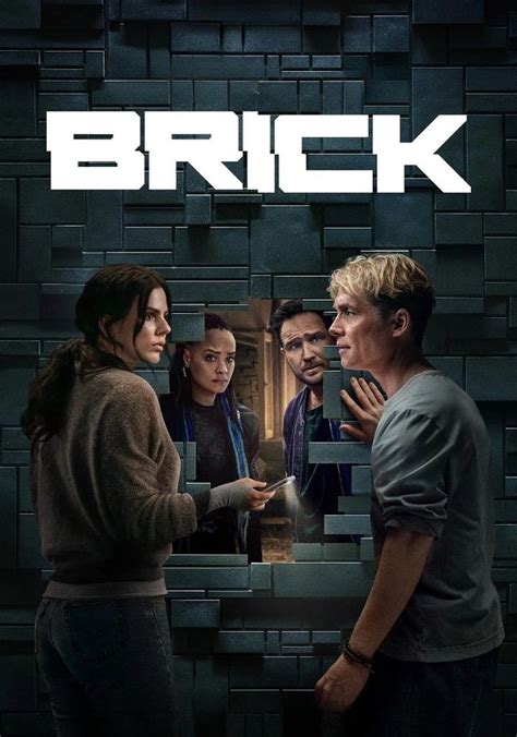 Brick 的图像结果