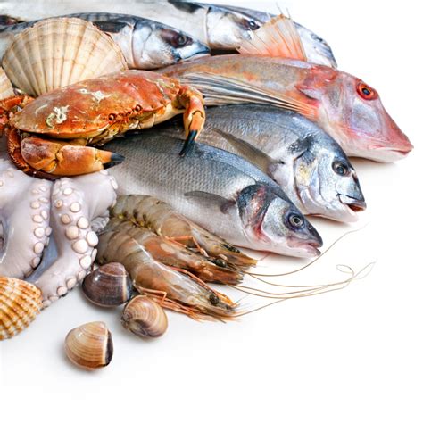 Is Seafood Halal? Everything Explained. - Tastylicious