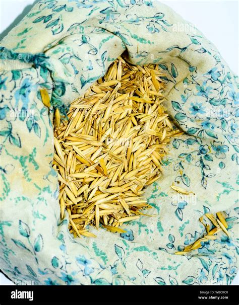 The Meaning Of Sow Your Oats at Zane Murray-prior blog