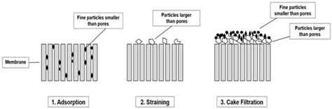 Filtration Solutions for Microplastic Mitigation: Cutting-Edge ...