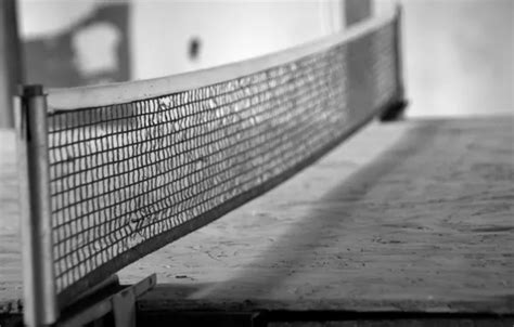 Download wallpaper table, mesh, ping-pong, section sports in resolution ...