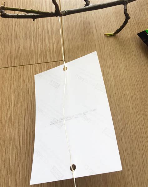 Image result for Homemade Camera Projects