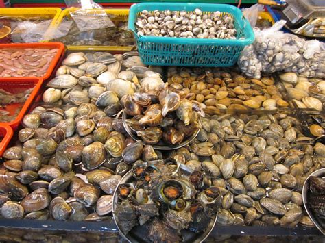 Shellfish: Oysters, Clams & Mussels - Are they Toxic or Nutritious?