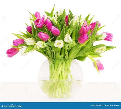 Tulips Flowers Bouquet in Vase, White Background Stock Photo - Image of ...