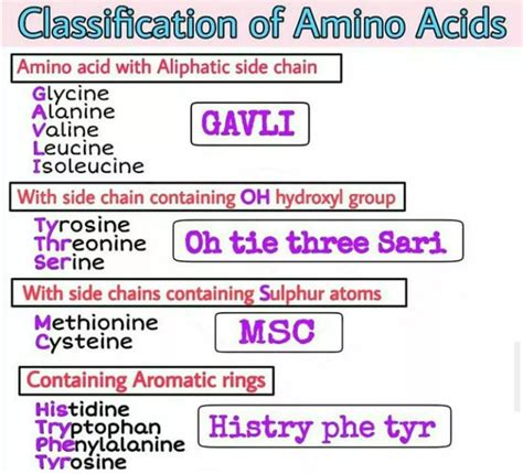 Classification of Amino Acids - Types, Functions, and Mnemonics for ...