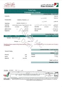 迪拜DMCC支付公司注册证书