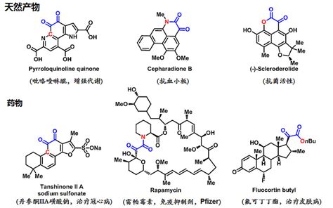 天然产物药物高效得，只因双羰试剂联姻硫- X-MOL资讯