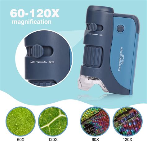 Short Microscope 的图像结果