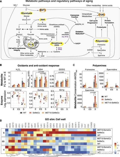 Cellselectioncallbackfunction MATLAB 的图像结果