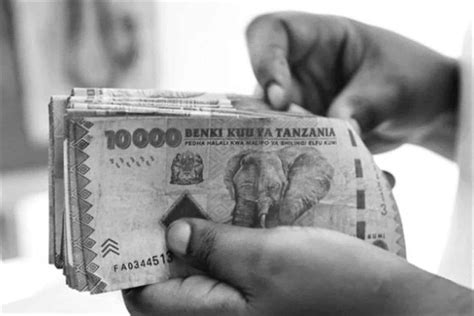 Navigating Currency in East Africa: Everything You Need to Know about Tanzania and Zanzibar's ...
