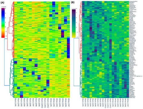 The Influence of Race/Ethnicity on the Transcriptomic Landscape of ...