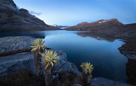 Wallpaper Laguna de la Plaza, Colombian Andes, Parque Nacional Natural ...