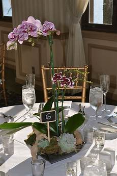 Orchid Wedding Ideas by Image Result For Orchid Plant Wedding Centerpiece Orchid Orchid Wedding Ideas