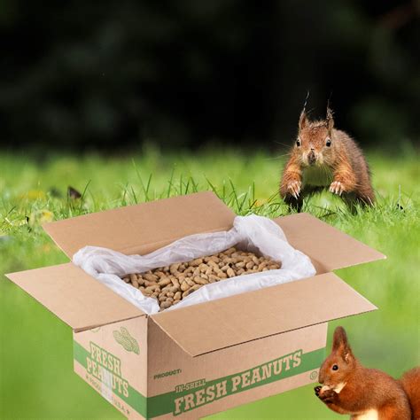Buy Hamptons Farms Peanuts for woodpeckers, Blue Jays, Chipmunks ...