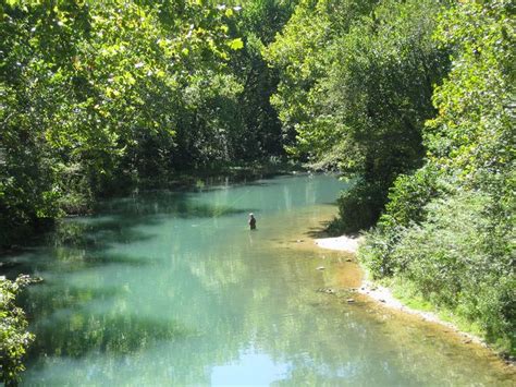 Niangua River Campgrounds Missouri: Best Spots to Stay