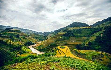 Image result for Vietnam Shell Exploding