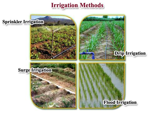 Irrigation Tutorials 的图像结果