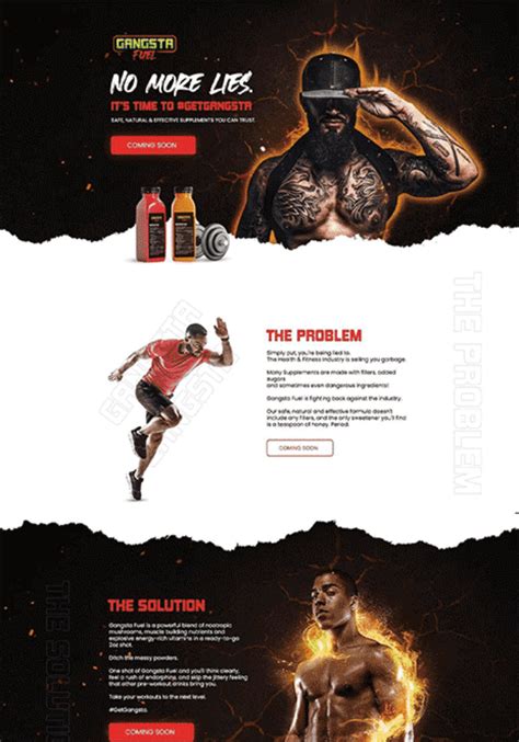 Website Examples 的图像结果