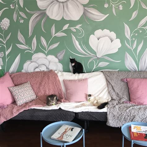 Cat Tales Cat Cafe (Chapel Hill): All You Need to Know