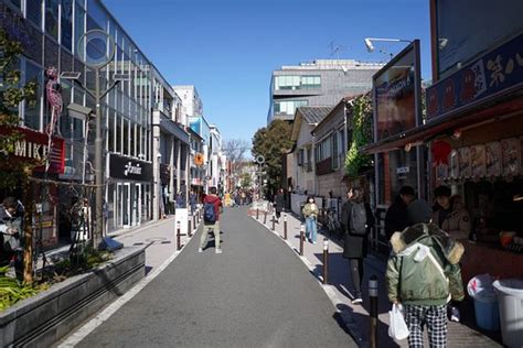 THE 10 BEST Things to Do Near Shibuya Cat Street (2026)