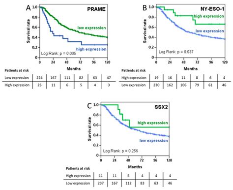 Cancer Testis Antigens and Immunotherapy: Expression of PRAME Is ...