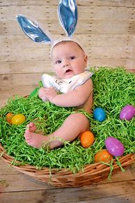 Image result for Easter Bunny Photography