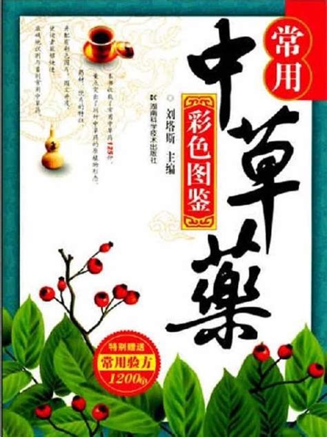 蔬菜大全100种名字,500种蔬菜名称大全,常见的100种蔬菜名称_大山谷图库