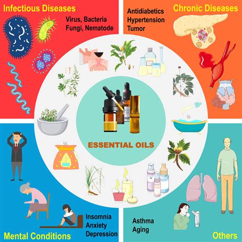 Biological, Functional and Network Pharmacological Exploration of Essential Oils in Treatment ...