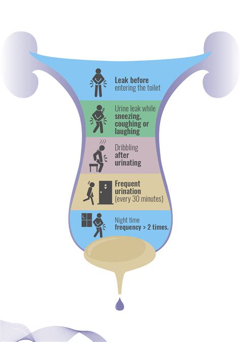 How To Control Stress Incontinence at Caitlin Grimmett blog