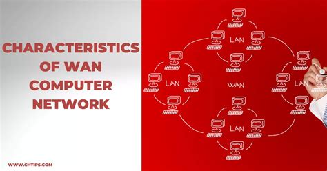Wan Computer Network 的图像结果