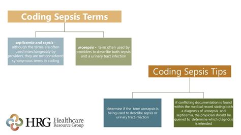 Image result for Coding Sepsis