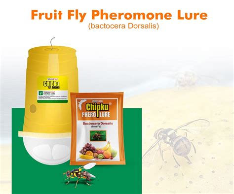 Chipku Fly Magnet Trap Useful in Mango, Papaya, Sapota, Guava, Pomegra