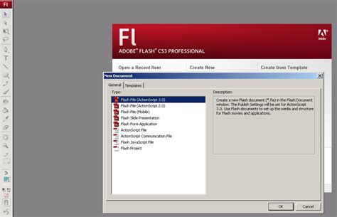 Image result for ActionScript 2 0