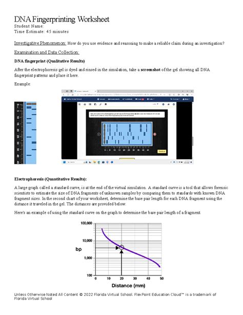 Forensic Science DNA Worksheet 的图像结果