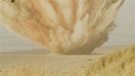 Exploding Whale Australia 的图像结果