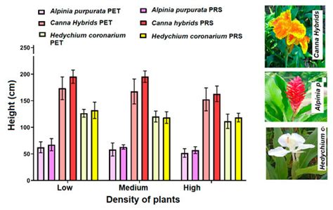 Effects of Ornamental Plant Density and Mineral/Plastic Media on the ...