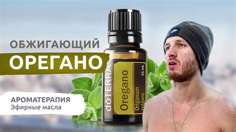 Применение масла орегано
