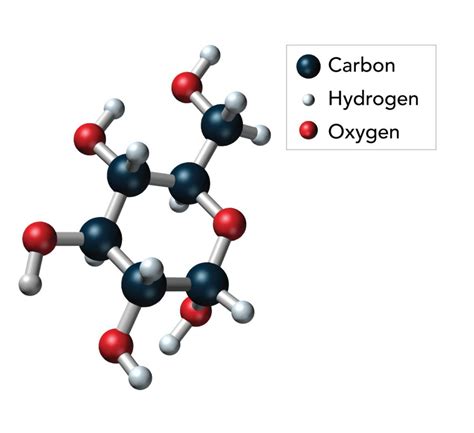 Carbohydrates Structure