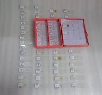 Permanent Prepared Microscope Slides (Set of 100 pc) Including Animal ...