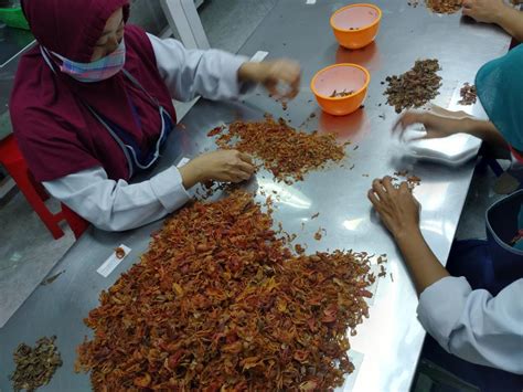 https://www.ptasi.id/images/processing_gallery/pt-agri-spice-indonesia-processing-nutmeg--mace-37-2023-11-21-02-23-01am.jpeg