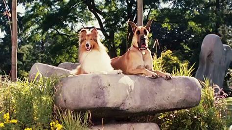 Marmaduke Dog Park at Jill Deleon blog