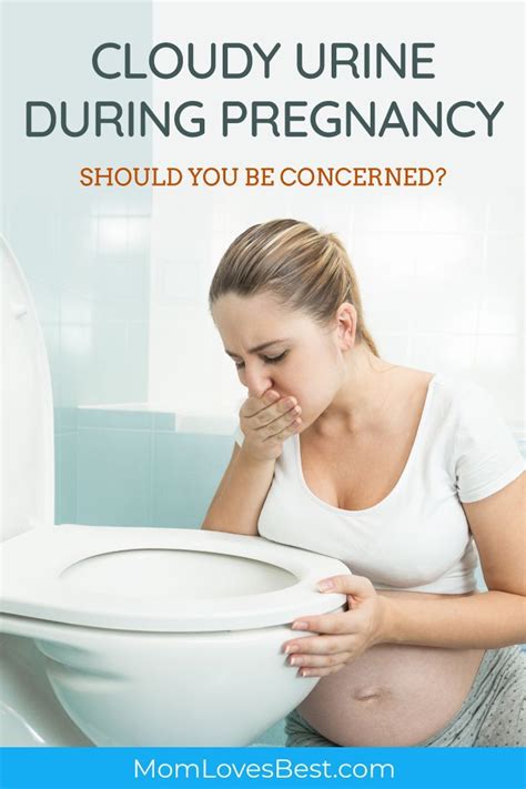 Cloudy Urine During Pregnancy: Should You Be Worried? | Pregnancy ...