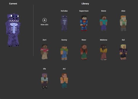 Image result for Custom Skins Minecraft Java