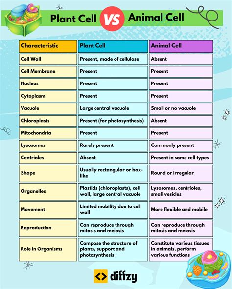 Plant Cell vs. Animal Cell - What's The Difference (With Table)