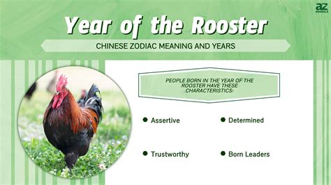 Year Of The Rooster