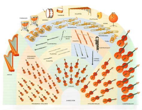 Image result for Orchestra Sections